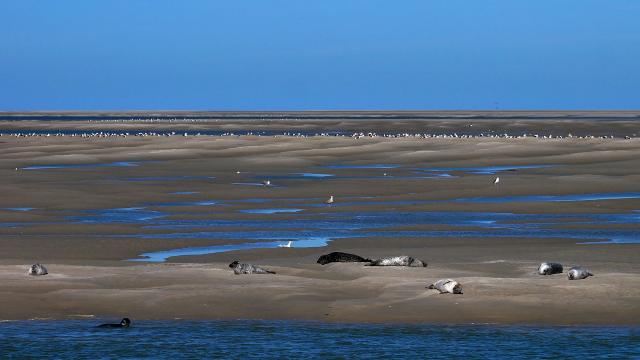 bay-of-somme-4508723-1920.jpg