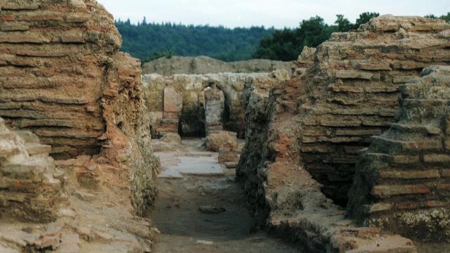 Bois L'abbé20