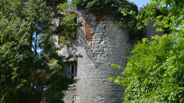 Destination Le Treport Mers Gamaches Ruines Chateau