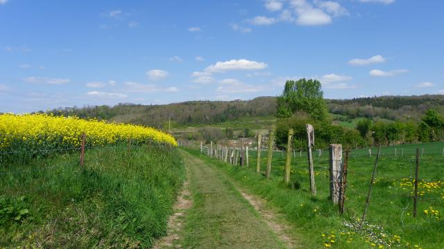 Destination Le Treport Mers Saint Pierre En Val Foret Eu Boucle De Beaumont