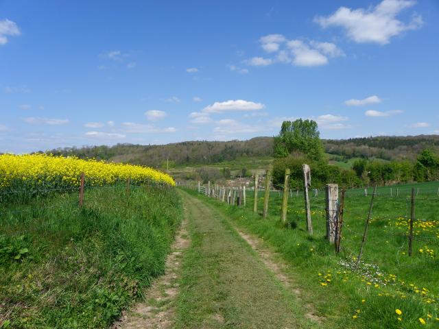 Destination Le Treport Mers Saint Pierre En Val Foret Eu Boucle De Beaumont