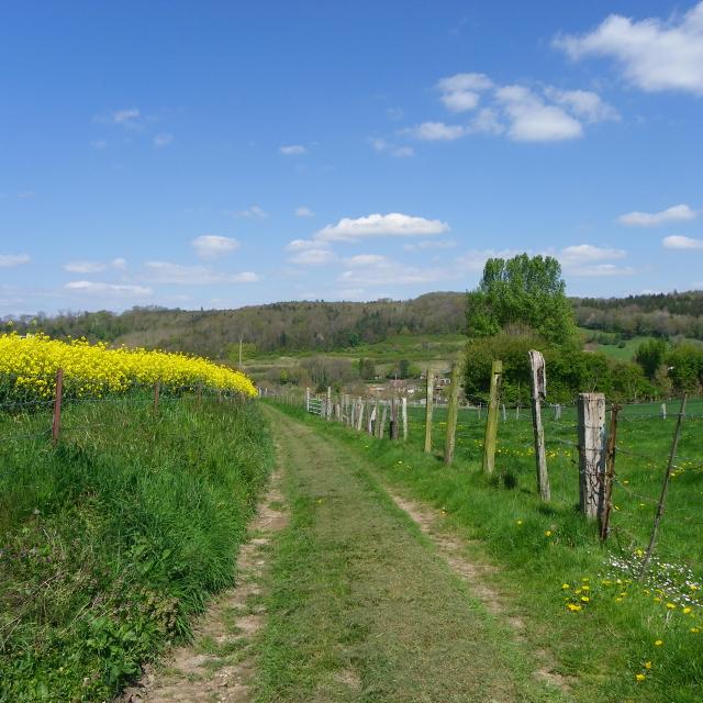 Destination Le Treport Mers Saint Pierre En Val Foret Eu Boucle De Beaumont