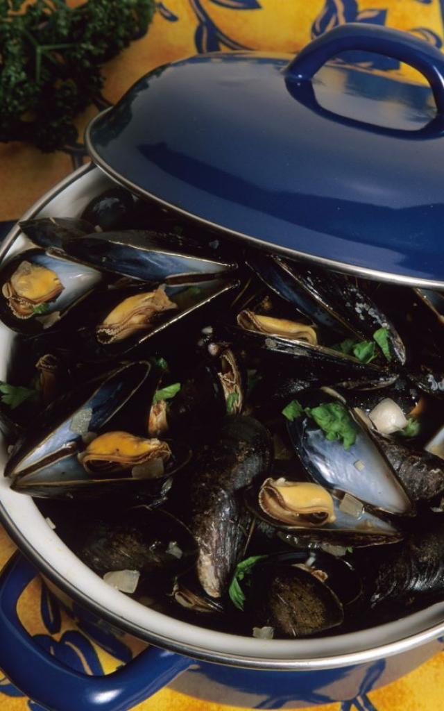 Moules G Targat Web