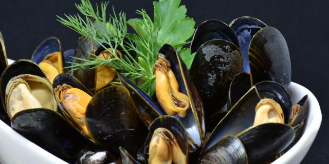 mussels-3148429-1920.jpg