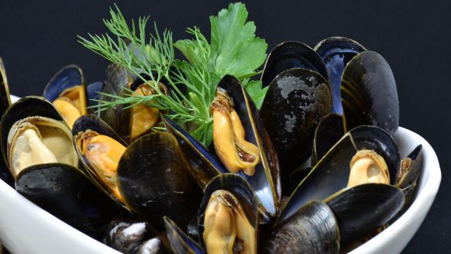 mussels-3148429-1920.jpg