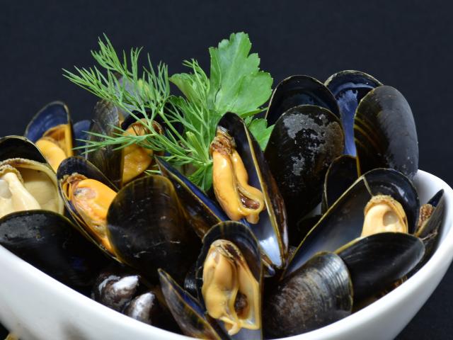 mussels-3148429-1920.jpg