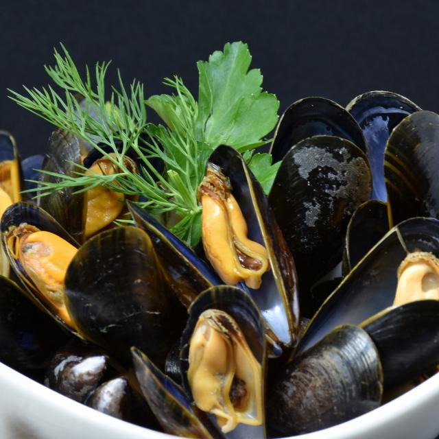 mussels-3148429-1920.jpg