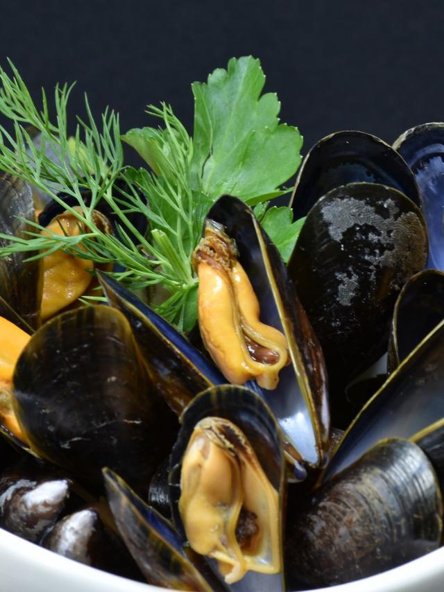 mussels-3148429-1920.jpg