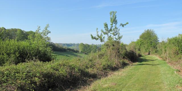 Paysage Vallée Tronçon St Rémy Boscrocourt Touffreville (2) New1