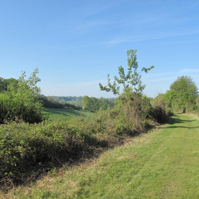 Paysage Vallée Tronçon St Rémy Boscrocourt Touffreville (2) New1