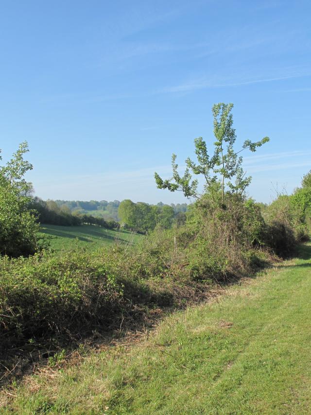 Paysage Vallée Tronçon St Rémy Boscrocourt Touffreville (2) New1