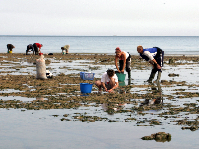 Pêche à Pied