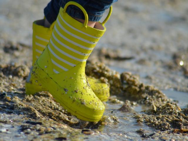 Littoral Enfant à La Plage 003