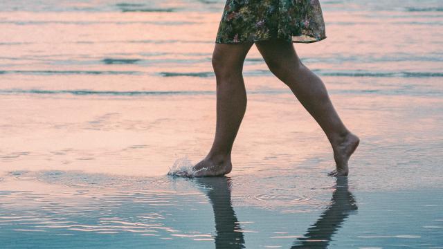 Marcher Sur Le Sable V. Solomon