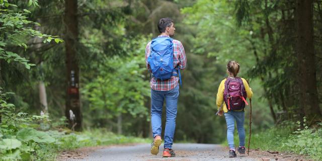 Randonnées en forêt en famille