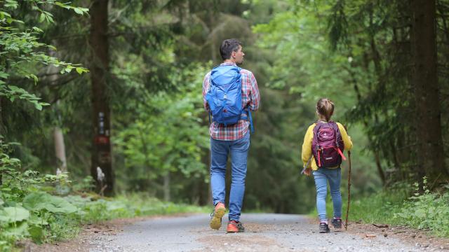 Randonnées en forêt en famille