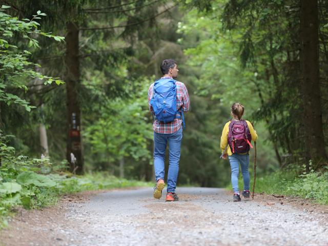 Randonnées en forêt en famille