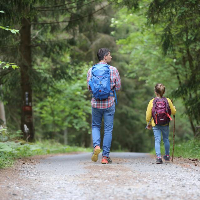 Randonnées en forêt en famille