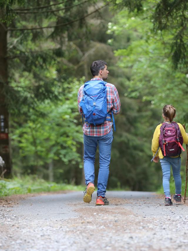 Randonnées en forêt en famille