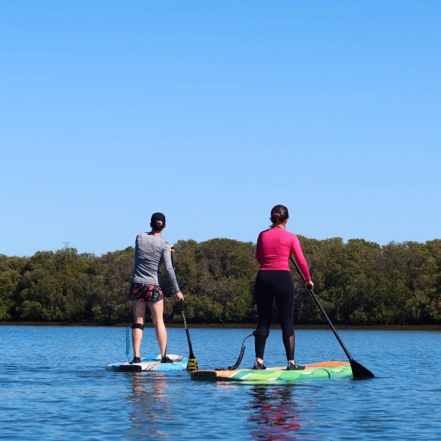 Paddle sur les étangs