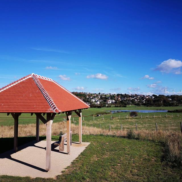 Criel-sur-Mer, la zone humide