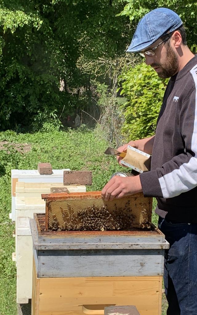 Mickael Dechepy, producteur de miel à Embreville