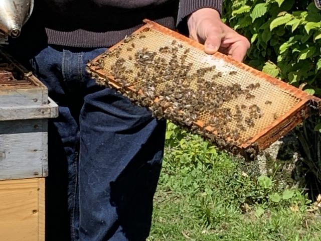 Mickael Dechepy, producteur de miel à Embreville