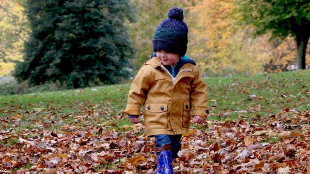 Enfant marchant sur les feuilles mortes