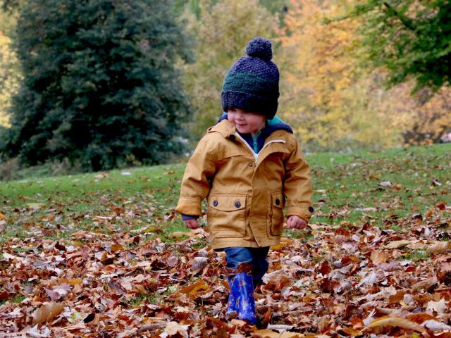 Enfant marchant sur les feuilles mortes