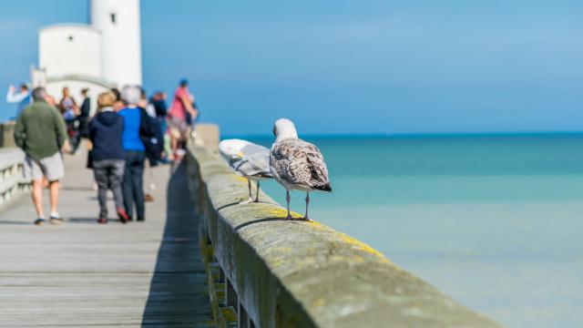 Le Tréport, la jetée et le phare, Normandie, France.