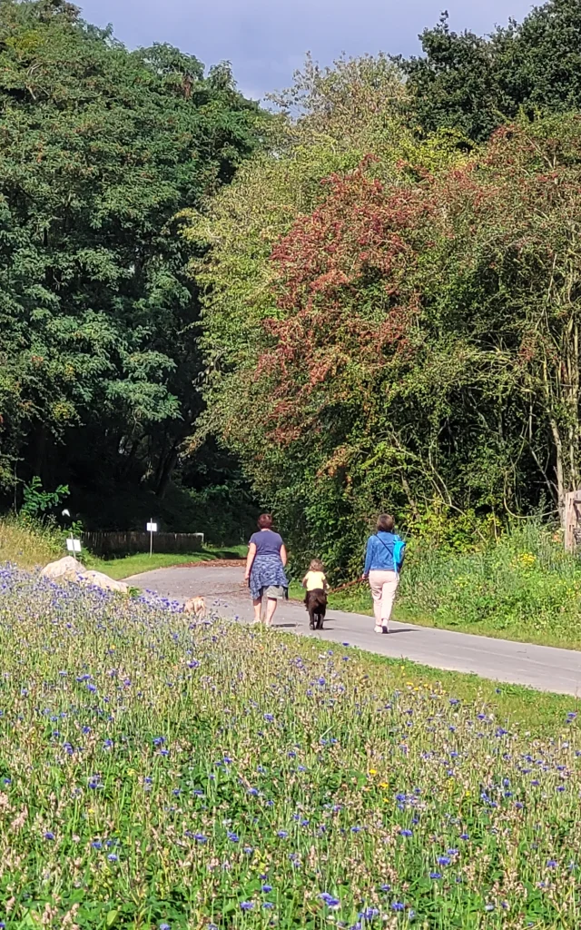 Une famille avec un jeune enfant se promène à pied sur le Chemin Vert du Petit Caux, profitant de la voie douce pour se balader facilement