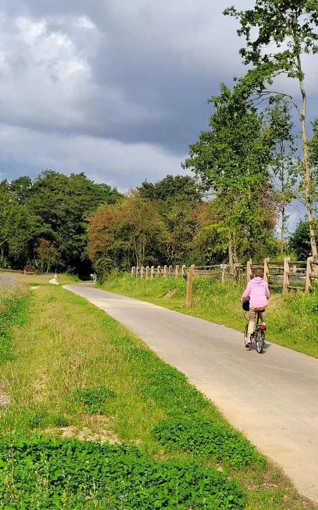 Un cycliste profite du Chemin Vert du Petit Caux pour se balader à vélo.